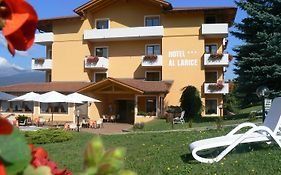 Hotel&Appartamenti Al Larice